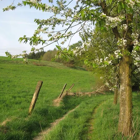 Apartment Am Naturgarten *