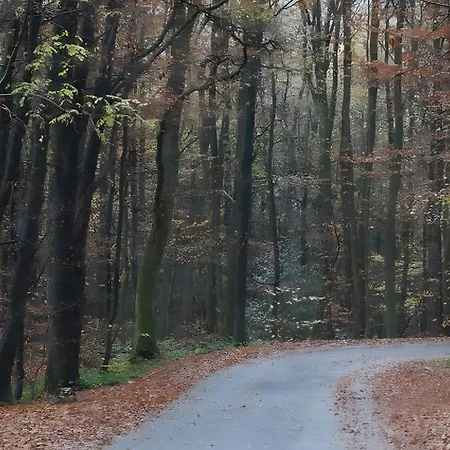 Am Naturgarten * Waldbrol