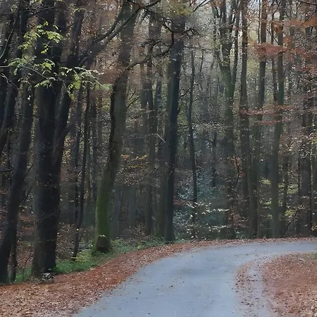 Апартаменты Am Naturgarten *
