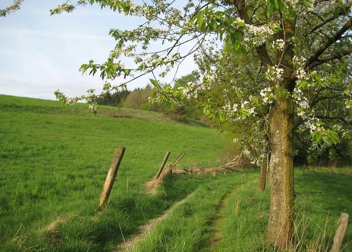 Daire Am Naturgarten *