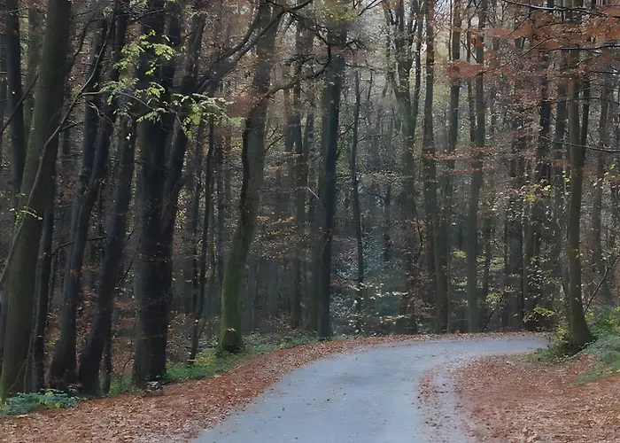 Am Naturgarten * Waldbrol
